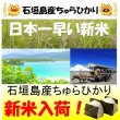 画像1: 沖縄県石垣島産ちゅらひかり　令和６年産新米１等米　３０ｋｇ玄米 (1)