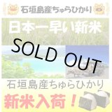 画像: 沖縄県石垣島産ちゅらひかり　令和６年産新米１等米　３０ｋｇ玄米