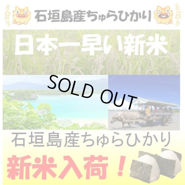 画像1: 沖縄県石垣島産ちゅらひかり　令和６年産新米１等米　３０ｋｇ玄米 (1)