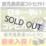 画像: 鹿児島県産　コシヒカリ　令和６年産新米１等米　５ｋｇ