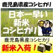 画像1: 鹿児島県産コシヒカリ　令和６年産新米１等米 お試し米２合（３００ｇ）×２ 全国送料無料！（ポスト投函） (1)