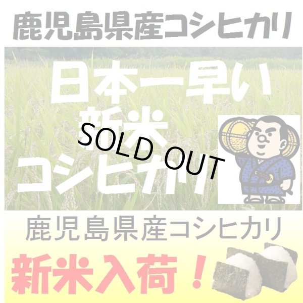 画像1: 鹿児島県産コシヒカリ　令和６年産新米１等米<br>お試し米２合（３００ｇ）×２<br>全国送料無料！（ポスト投函） (1)