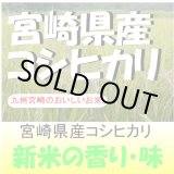 画像: 宮崎県産コシヒカリ　令和６年産新米１等米 お試し米２合（３００ｇ）×２ 全国送料無料！（ポスト投函）