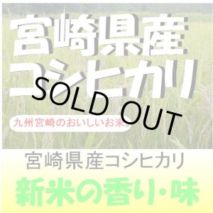 画像: 宮崎県産コシヒカリ　令和６年産新米１等米 お試し米２合（３００ｇ）×２ 全国送料無料！（ポスト投函）