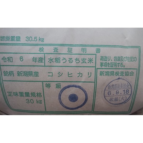 画像3: 新潟県佐渡産朱鷺と暮らす郷コシヒカリ（減農薬）　令和６年産新米１等米　３０ｋｇ玄米 (3)