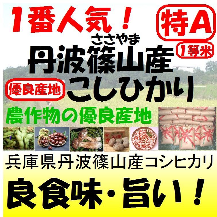 【丹波篠山コシヒカリ】白米/27k 令和4年産　美味しいお米☆農家直送！！
