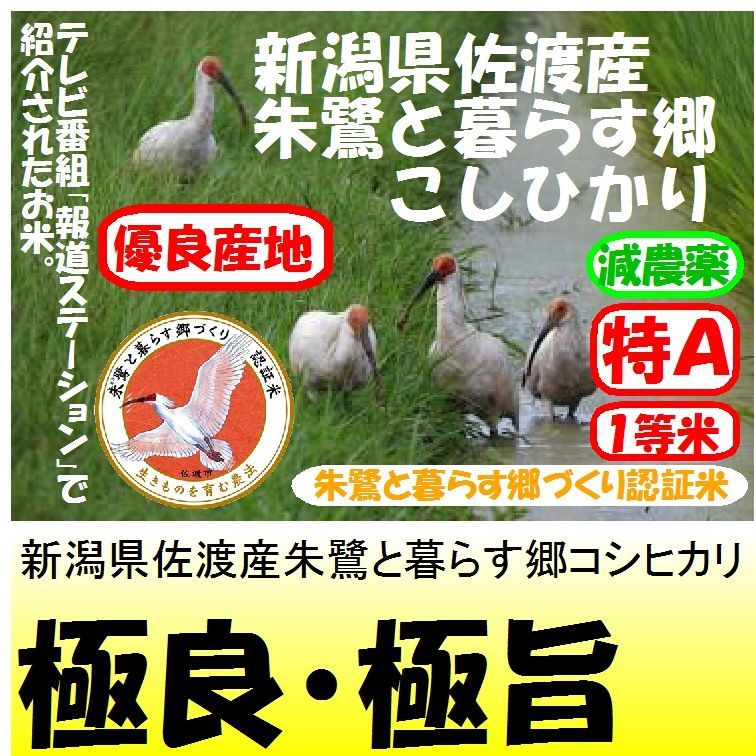 新潟県佐渡産朱鷺と暮らす郷コシヒカリ（減農薬）　令和５年産２等米　２５ｋｇ玄米　米専門店つくしや本店