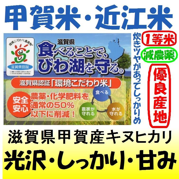 滋賀県甲賀産キヌヒカリ（減農薬）（近江米）　５ｋｇ　令和５年産１等米　米専門店つくしや本店