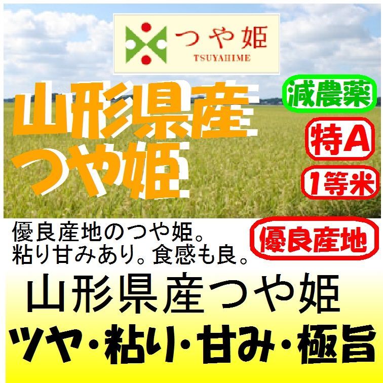 山形県産 つや姫（減農薬） 令和４年産1等米・特Ａ米お試し米２合