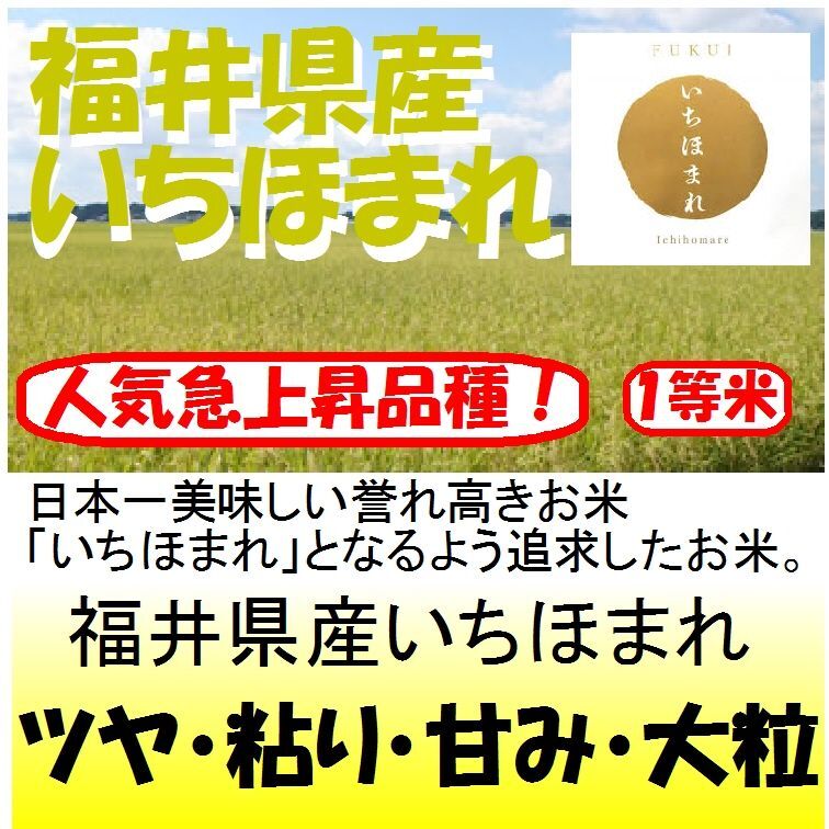 福井産産いちほまれ　令和４年産１等米　５ｋｇ　米専門店つくしや本店